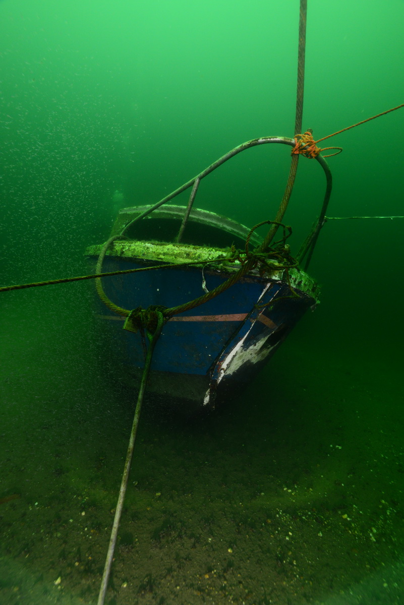 Blauwe wrakje in de groene heuvels