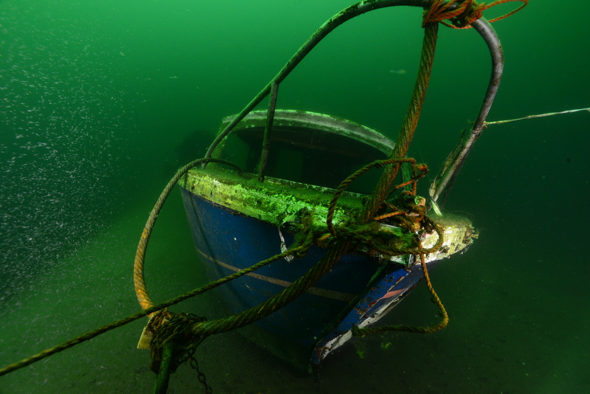 Blauwe wrakje in de groene heuvels