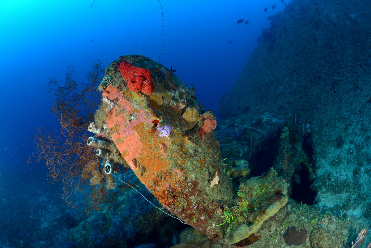 Schroef van de Momokawa maru