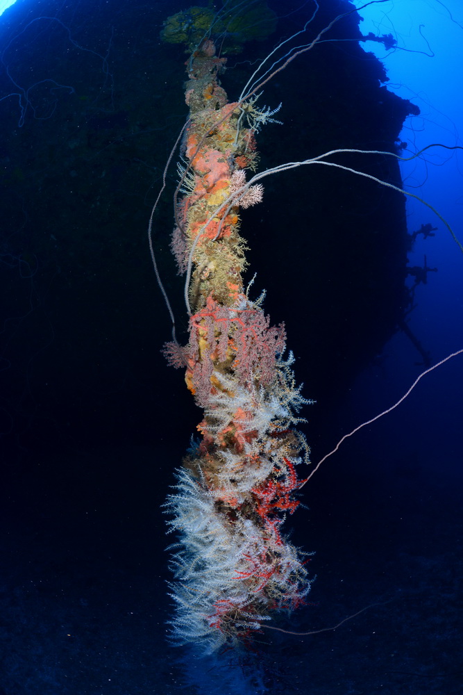 Ankerketting van de Fujisan maru