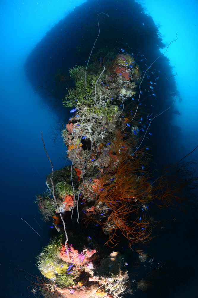 Ankerketting van de Heian Maru