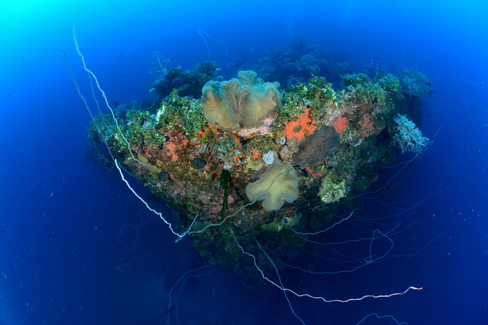 Boeg van de Seiko Maru