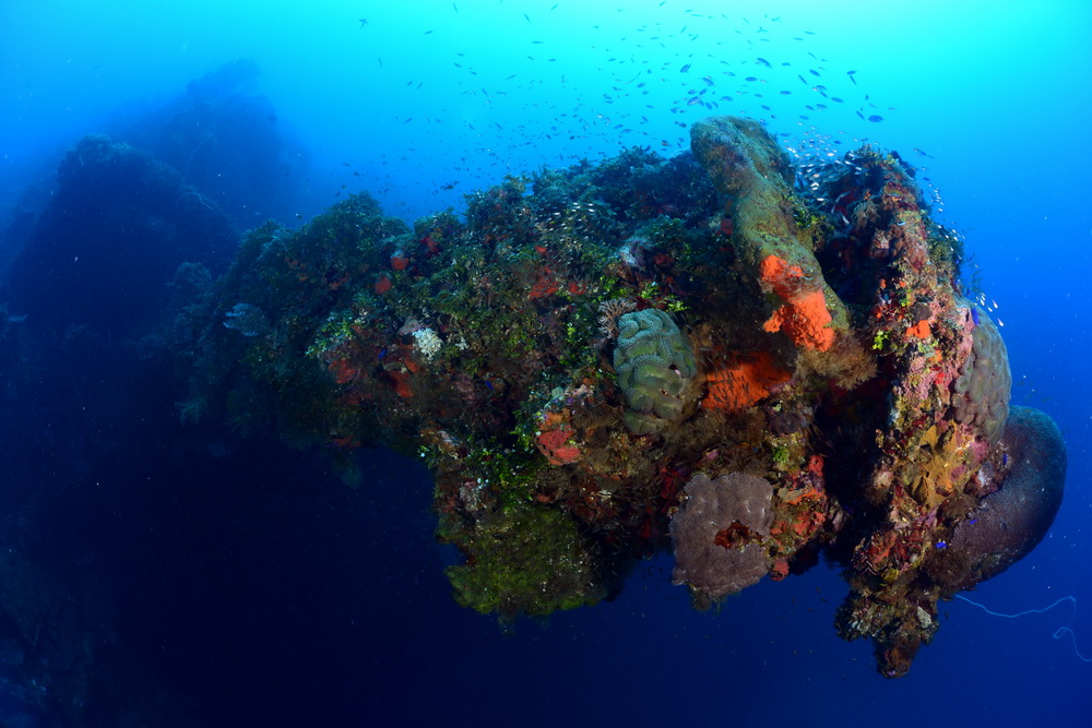 Hoki Maru