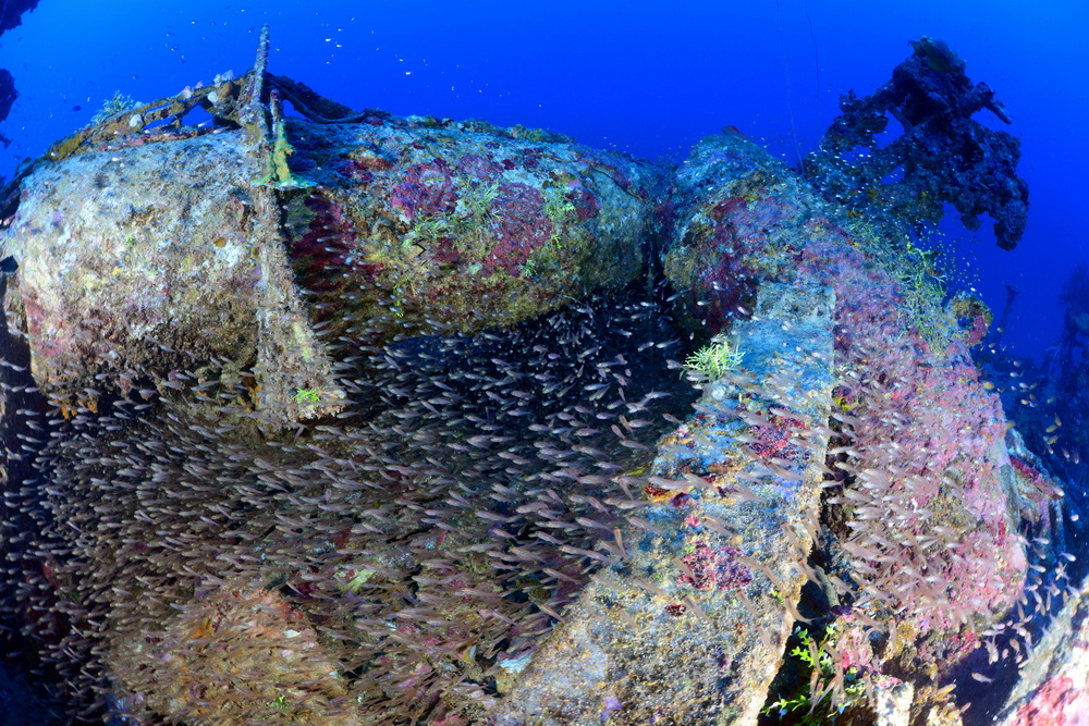 San Francisco Maru