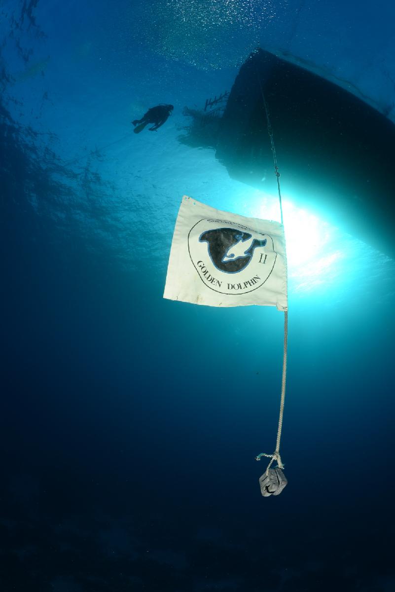vlag onder de golden dolphin II boot