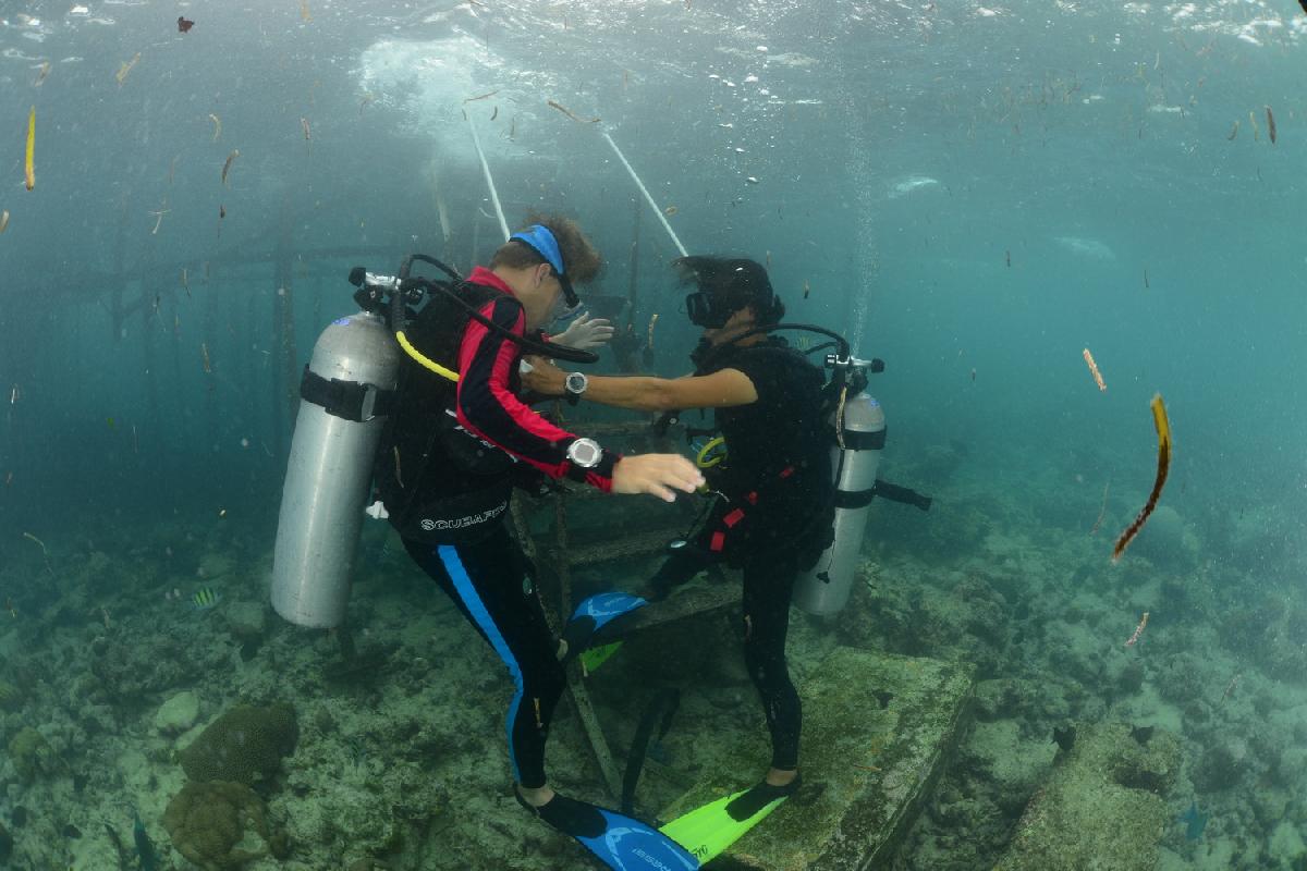 bas doet oefeningen voor discover scuba diving