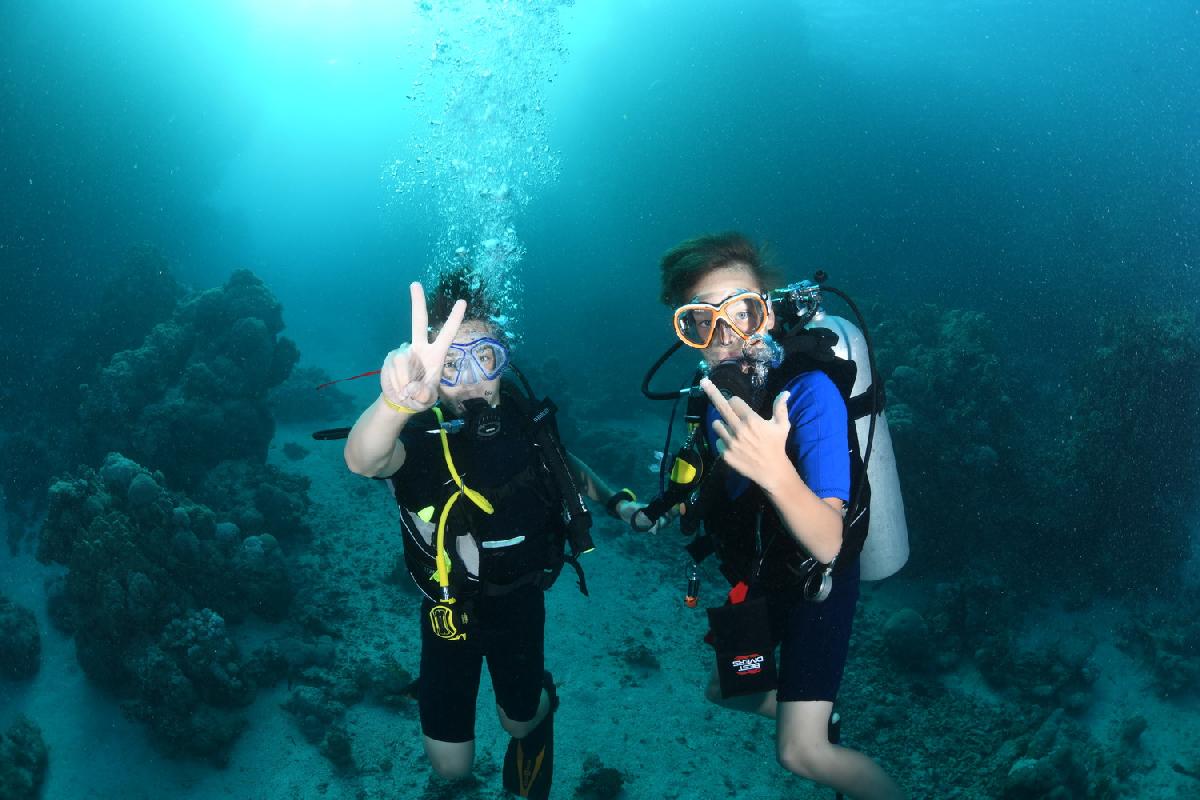 nick en bas duiken samen