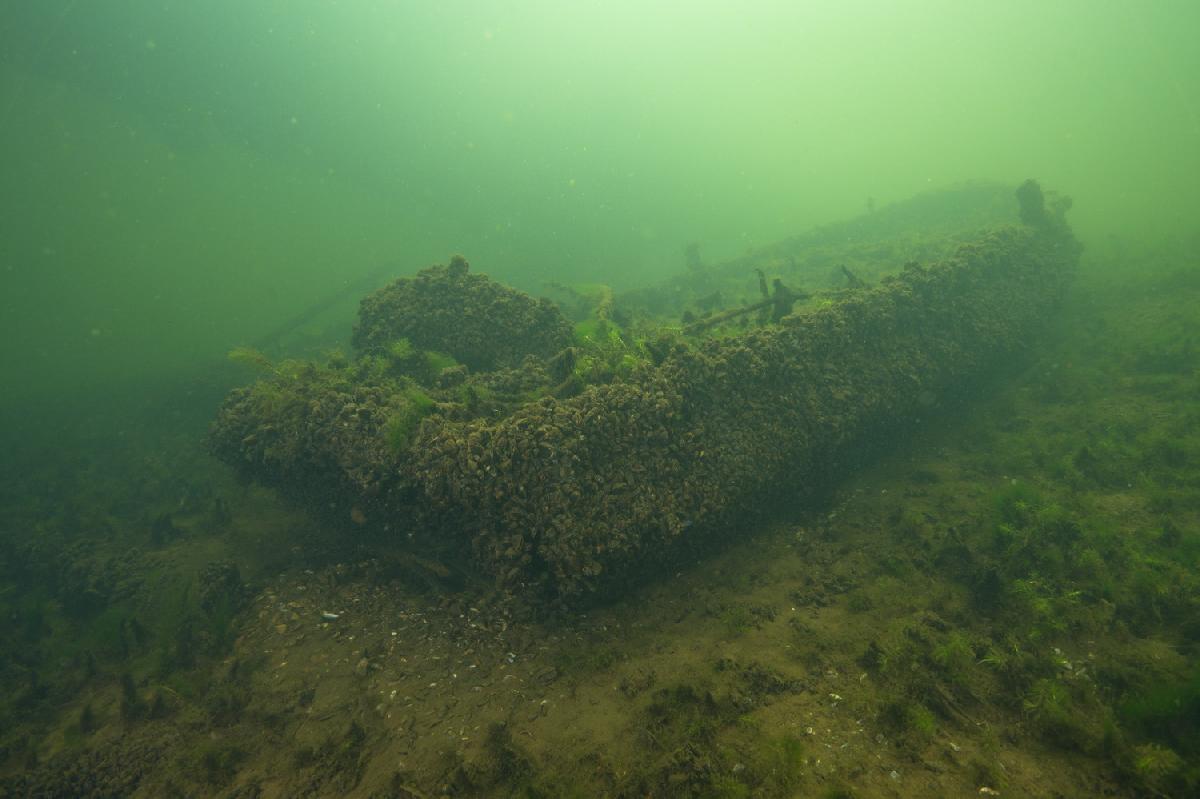 wrakje vol met mosselen