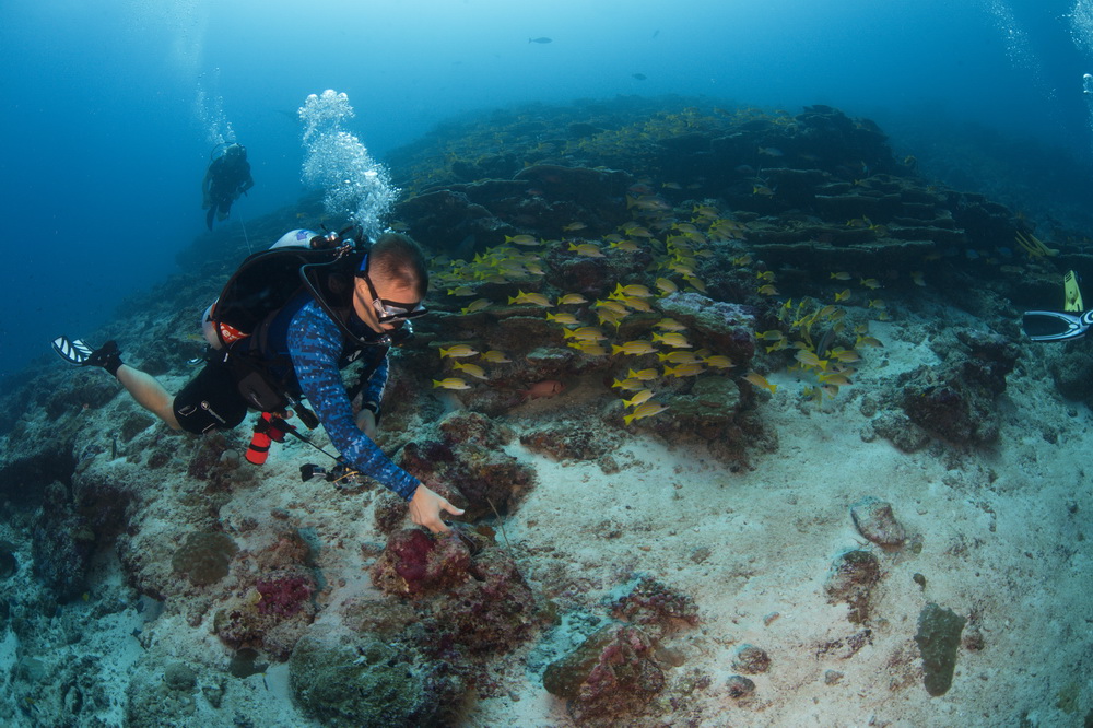 naast het manta cleaning station