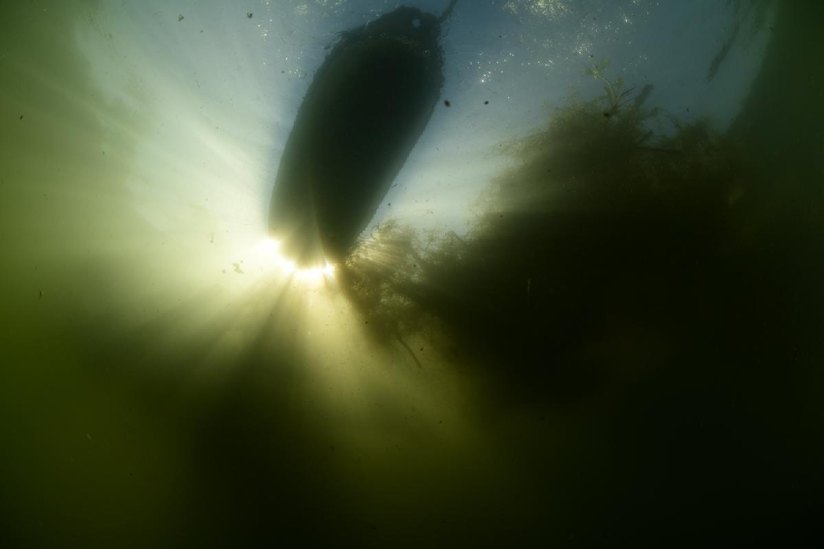 zonnestralen langs boei en drijvend spul