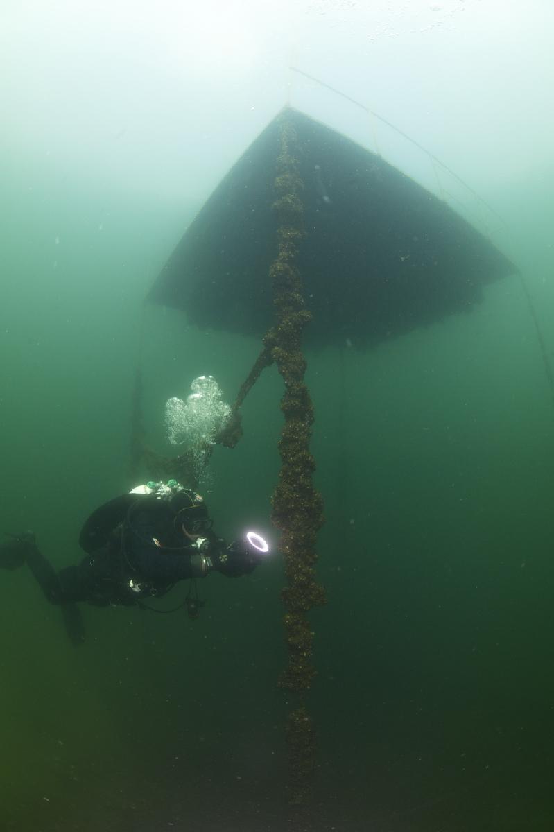 Rob onder het platform in de Beldert