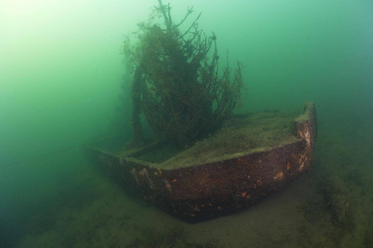 wrakje met kerstboom in de groene heuvels