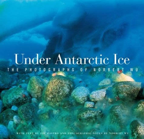 Under Antarctic Ice