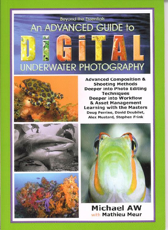 An advanced guide to digital underwater photography