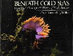 Beneath Cold Seas - Jeffrey L. Rotman & Barry W. Allen - 0442270585