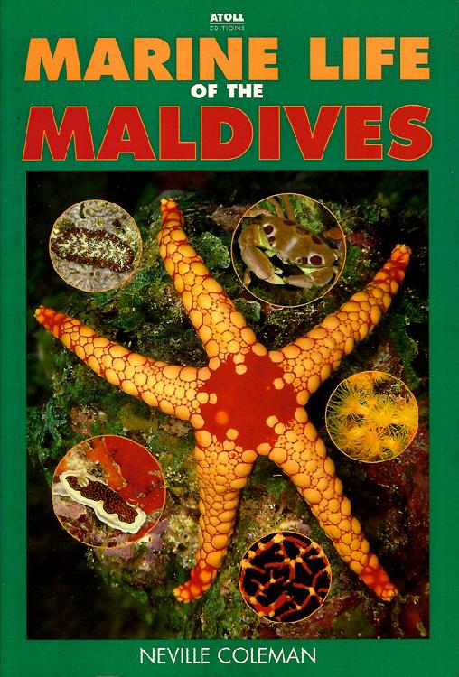 Marine life of the Maldives