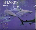 Sharks - Doug Perrine - 0896586049