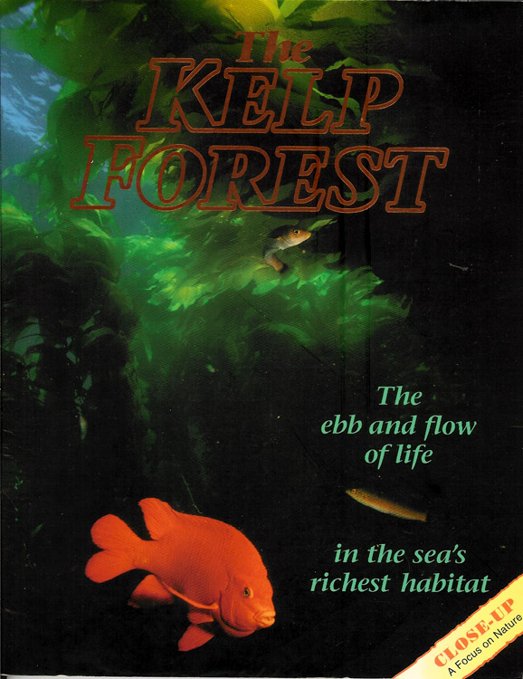 The Kelp Forest: the Ebb and Flow of Life in the Sea's Riche