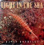 Light in the sea