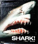 Shark! - Jeffrey L. Rotman - 1893263029