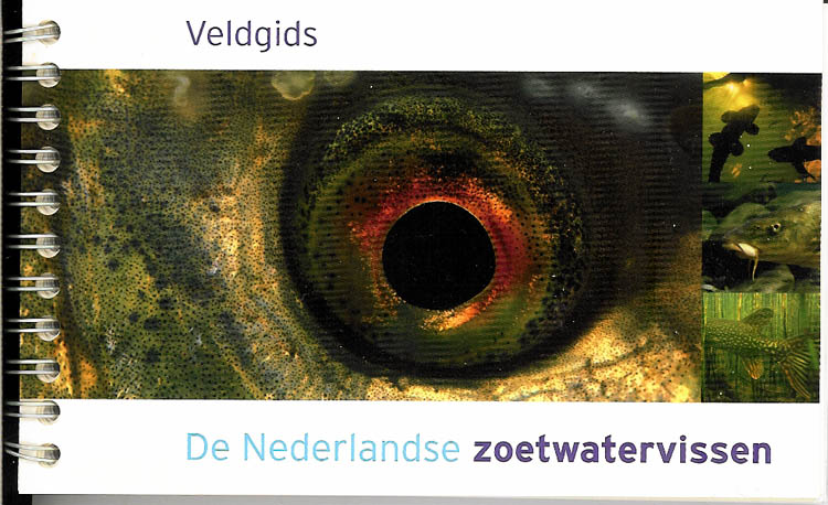 Veldgids Nederlandse Zoetwatervissen
