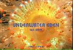 Underwater Eden: 365 Days - Jeffrey L. Rotman - 0810993112