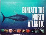 Beneath the North Atlantic - Jonathan Bird - 1559493143