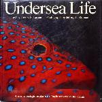 Undersea Life - Joseph S. Levine, Jeffrey L. Rotman - 0941434702