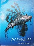 Ocean Life - Sally Morgan, Pauline Lalor  - 1856485919