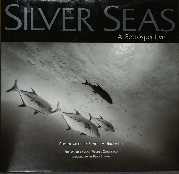 Silver Seas: A retrospective
