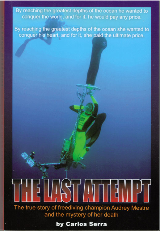 The Last Attempt