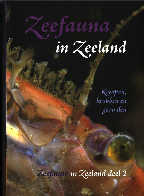 Zeefauna in zeeland deel 2. Kreeften, krabben en garnalen