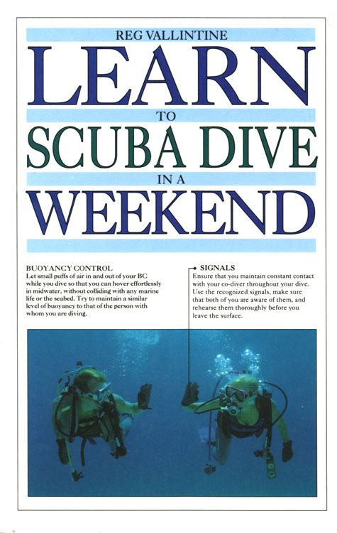 Learn to scuba dive in a weekend