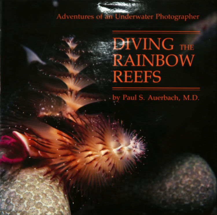Diving the Rainbow Reefs