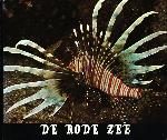 De Rode Zee - David Darom - 9060103211