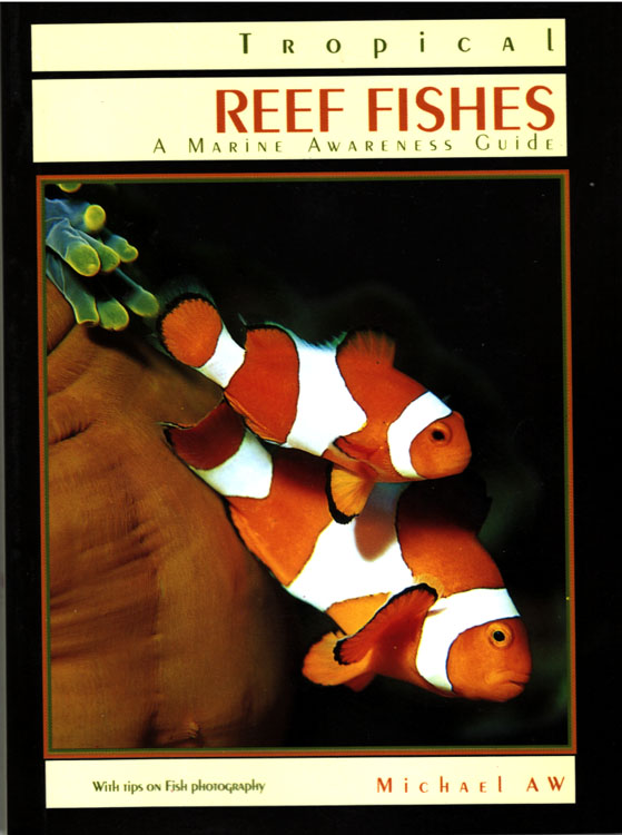 Tropical Reef Fishes