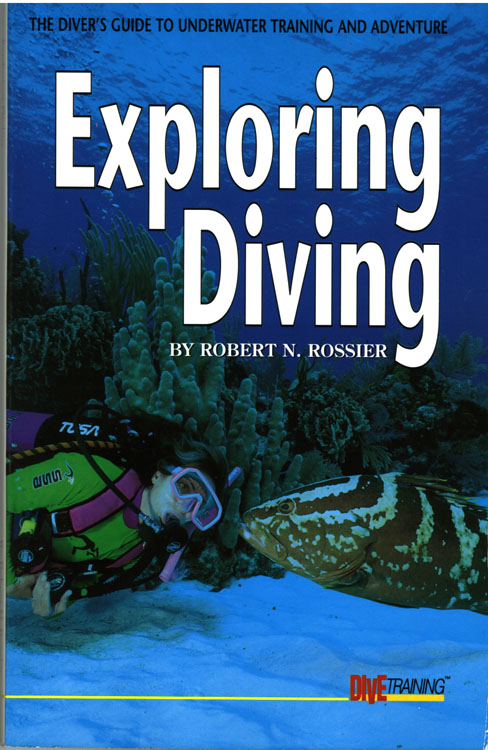 Exploring Diving