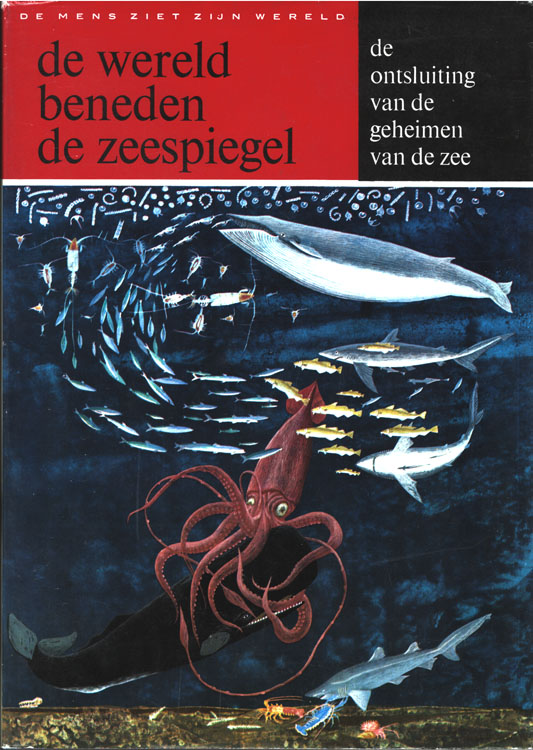 De wereld beneden de zeespiegel