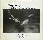 Beginnings Goddesses, Sirens and Mermaids - Todd Essick - 1876381043