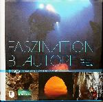 Faszination Blautopf -  - 9783799508315