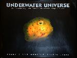 Underwater Universe - Claudia Hochleithner, Manfred Hochleithner - 3934020305