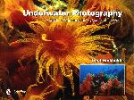 Underwater photography - Trent Burkholder - 9780764342349