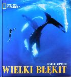 Wielki Blekit - Darek Sepiolo - 9788375962383