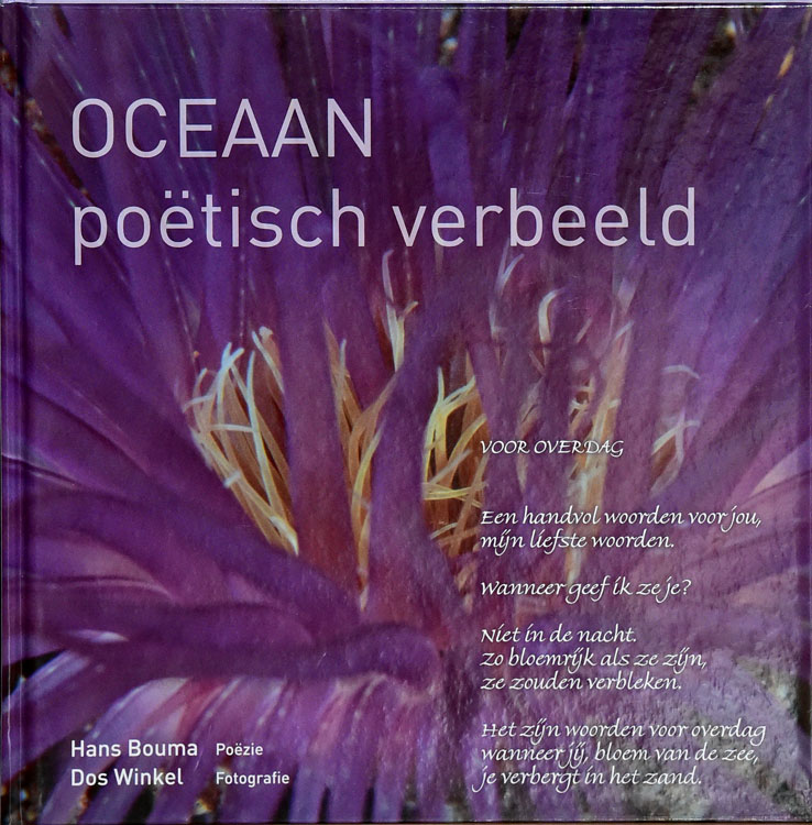 Oceaan poetisch verbeeld