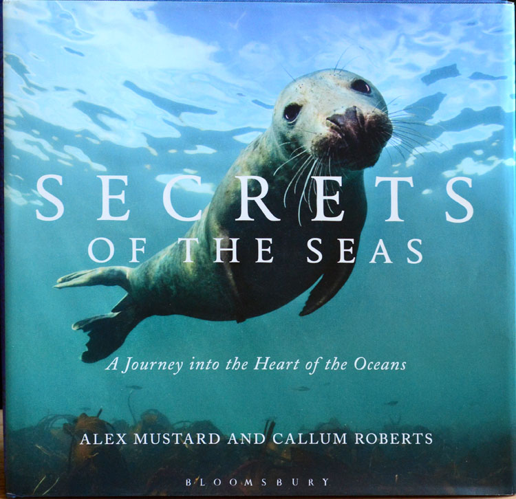 Secrets of the seas