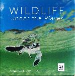 Wildlife under the waves - Jurgen Freund,Stella Chiu-Freund - 9781921517396