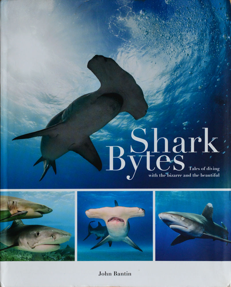 Shark Bytes
