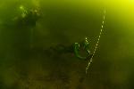 freediver in vinkeveen