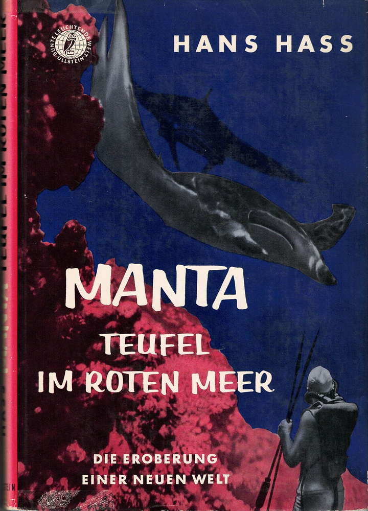 Manta Teufel im Roten Meer