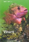 Vissen in Zeeland - P. Calle - 9789080637009